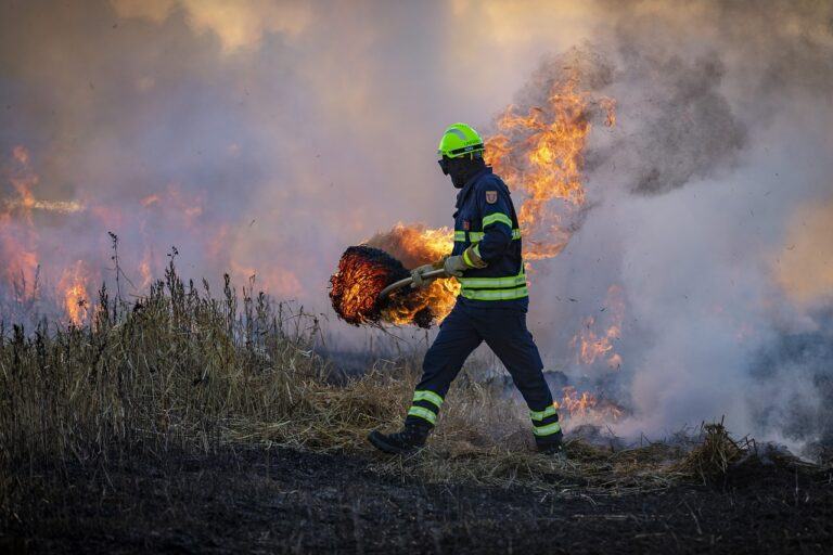 Wildfire Crime Scene Investigation: Unearthing the Truth