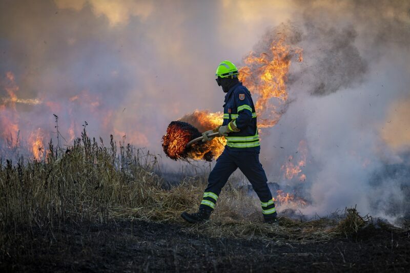 Fireman at a wildfire crime scene.